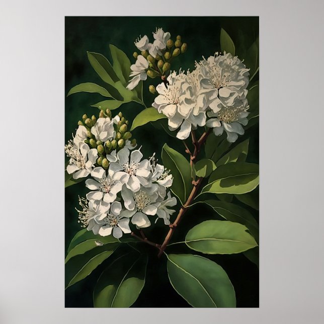Poster av vit Crepe Myrtle Flowers Art Print (Framsidan)