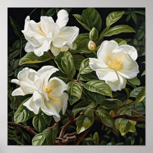 Poster av vit Gardenias Flower Art Print