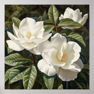 Poster av vit Gardenias Flower Art Print
