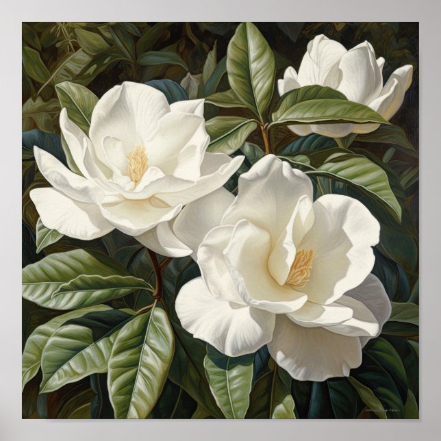 Poster av vit Gardenias Flower Art Print (Framsidan)
