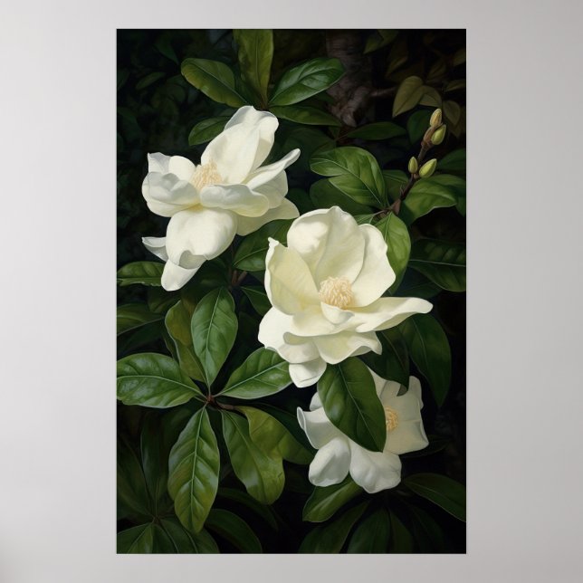 Poster av vit Gardenias Flower Art Print (Framsidan)