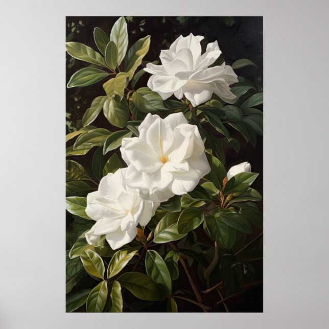 Poster av vit Gardenias Flower Art Print (Framsidan)