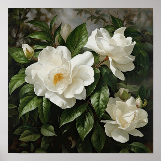 Poster av vit Gardenias Flower Art Print (Framsidan)