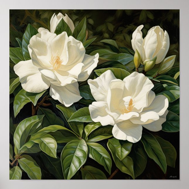 Poster av vit Gardenias Flower Art Print (Framsidan)