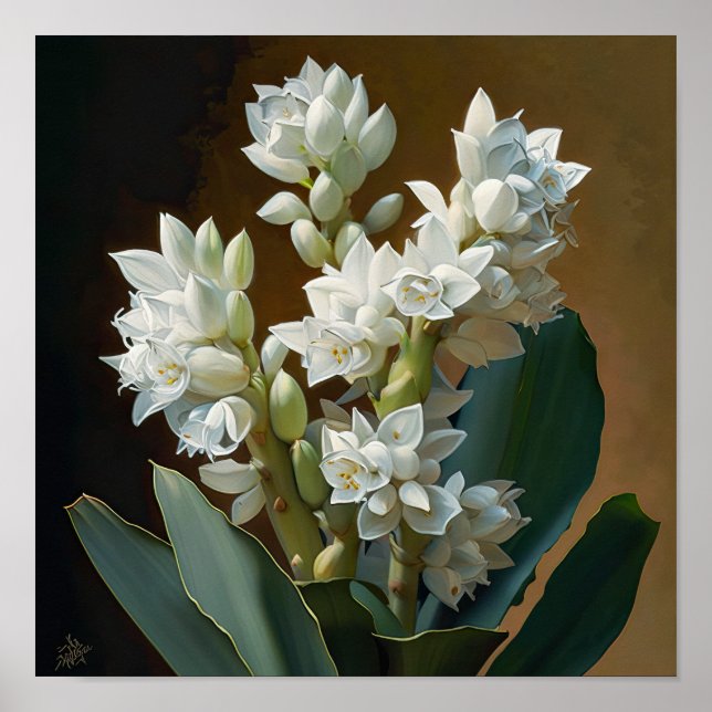 Poster av vit hyacint-blomma (Framsidan)