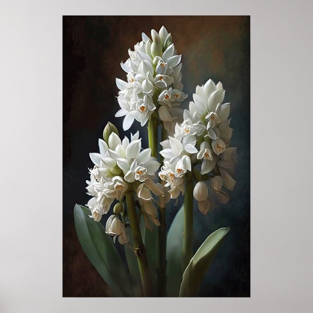 Poster av vit hyacint-blomma (Framsidan)