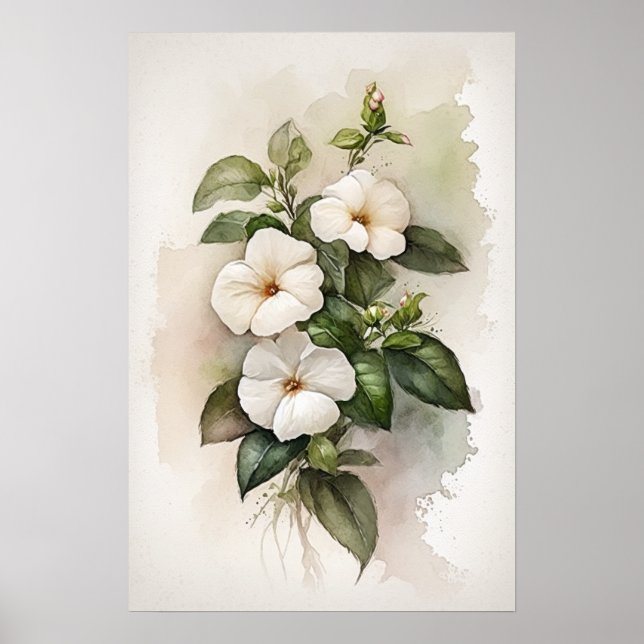 Poster av vit impatiens Flower Art Print (Framsidan)