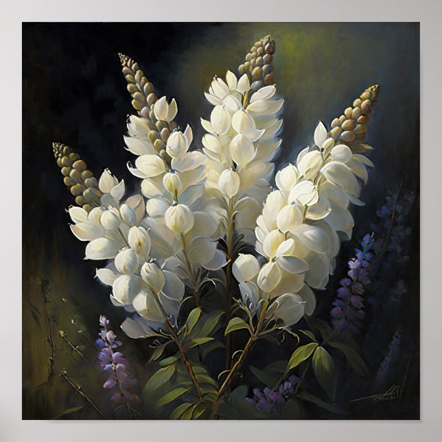 Poster av vit Lupine Flower Art-skrivare (Framsidan)