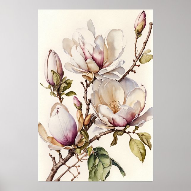 Poster av vit Magnolia Flowers Art-utskrift (Framsidan)