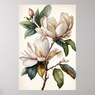 Poster av vit Magnolia Flowers Art-utskrift