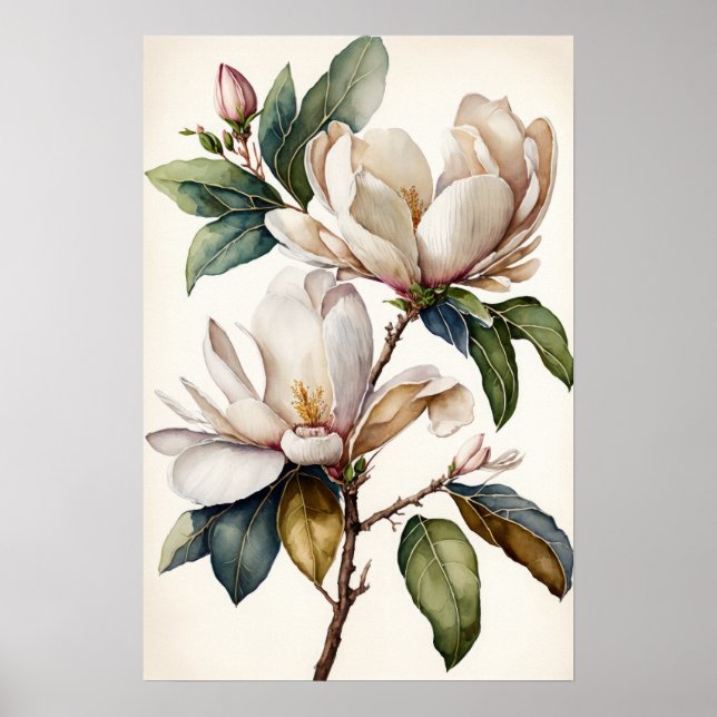Poster av vit Magnolia Flowers Art-utskrift (Framsidan)
