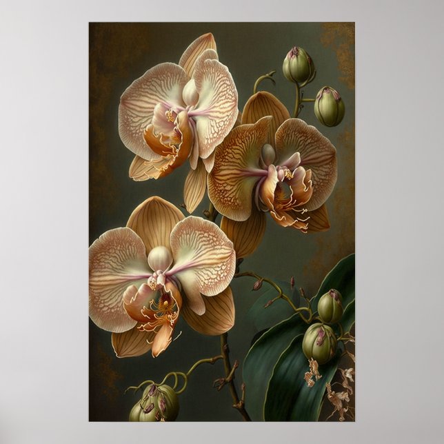 Poster av vit moth Orchid Flowers Art Skriv ut (Framsidan)
