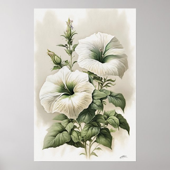 Poster av vit Petunias Flower Art Print (Framsidan)