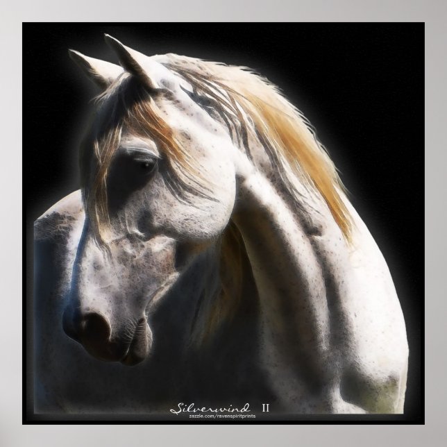 Poster av vit spirit Stallion Equine Art (Framsidan)