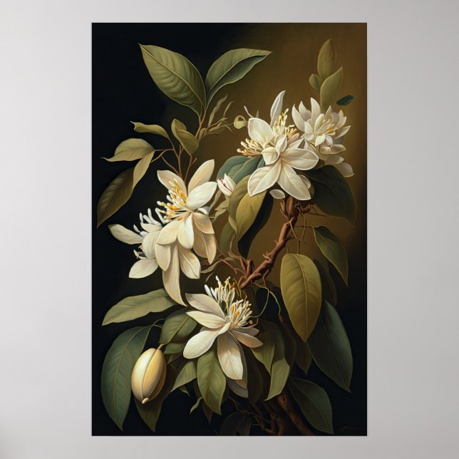 Poster av vit Vanilla Flowers Art-utskrift (Framsidan)