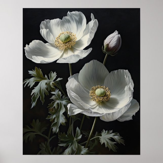 Poster av vita Anemone Flowers Art-utskrift (Framsidan)