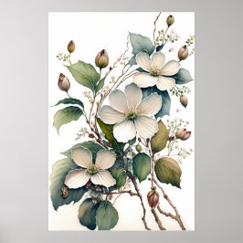 Poster av vita Dogwood Flowers Art Print