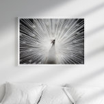 Poster av vita fotbojfotografier<br><div class="desc">Denna vackra vita påk är underbar för att dekorera djur älskare hem.</div>