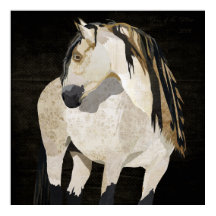 Poster av vita hästar