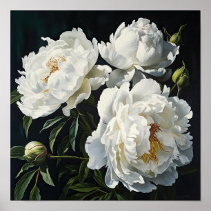 Poster av vita peonies Flower Art Print