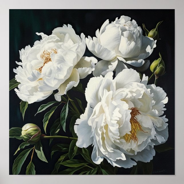 Poster av vita peonies Flower Art Print (Framsidan)