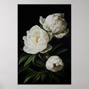 Poster av vita peonies Flower Art Print