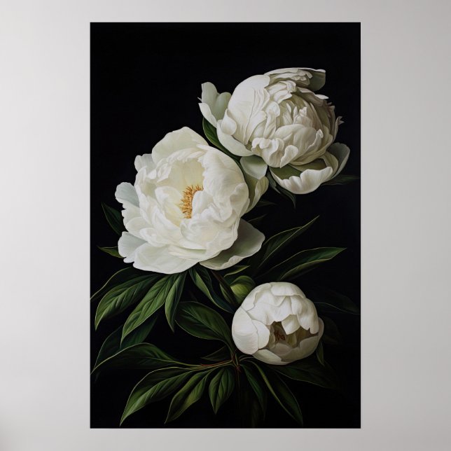 Poster av vita peonies Flower Art Print (Framsidan)