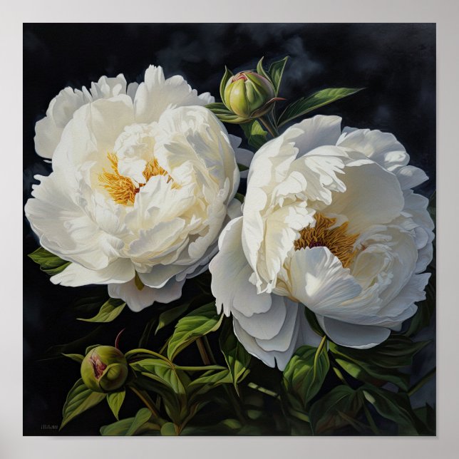 Poster av vita peonies Flower Art Print (Framsidan)