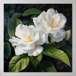 Poster av vita trädgårdsblommor