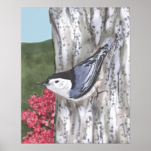 Poster av vitbröst nuthatch och Rosa Flowers