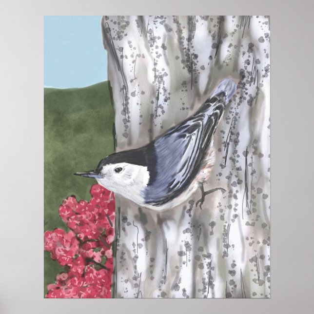 Poster av vitbröst nuthatch och Rosa Flowers (Framsidan)
