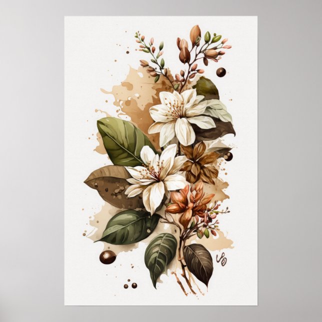 Poster av vitkaffeflorare (Framsidan)
