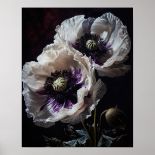 Poster av vitorienterade vallmoblommor Art Skriv u