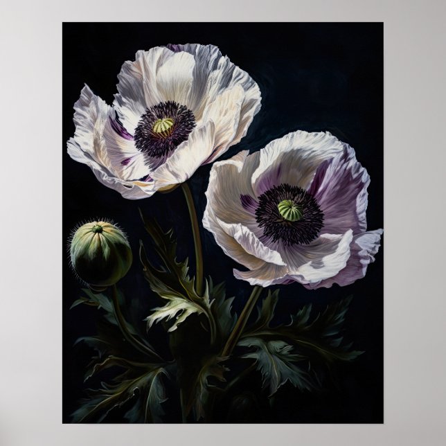 Poster av vitorienterade vallmoblommor Art Skriv u (Framsidan)