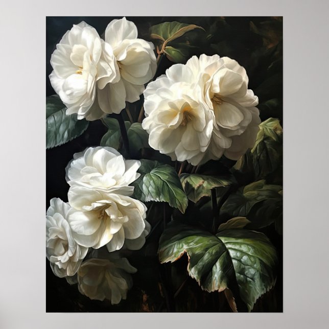 Poster av White Begonia Flowers Art Print (Framsidan)