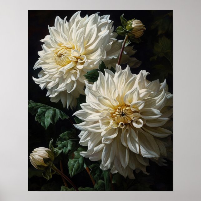 Poster av White Dahlia Flowers Art Print (Framsidan)