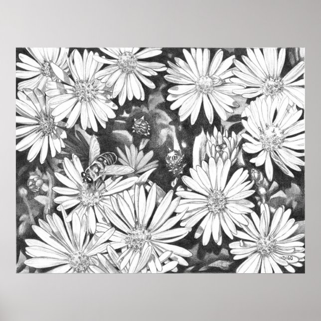 Poster av Wildblommor och honeybee Art Print Fine  (Framsidan)