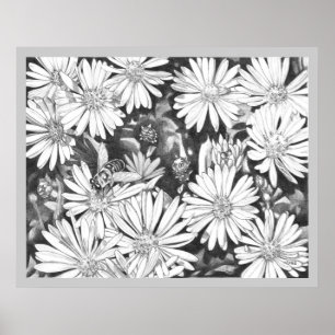 Poster av Wildblommor och honeybee Art Print Fine