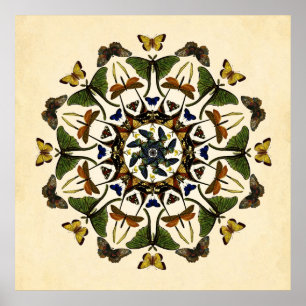 Poster av WingEarth Butterfly Kaleidoscope Art