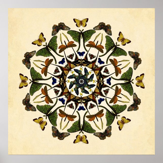 Poster av WingEarth Butterfly Kaleidoscope Art (Framsidan)