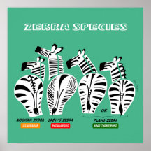 Poster av zebrarter