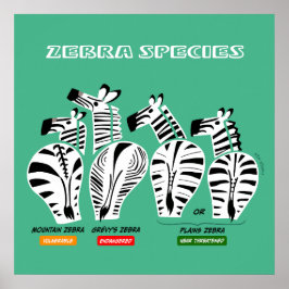 Poster av zebrarter