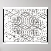 Poster av Zen Flower of Life Coloring
