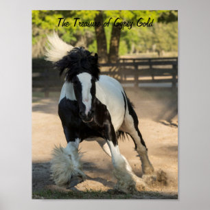 Poster av zypsy Guld Gypsy Vanner Treasure