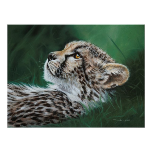 Poster Baby Cheetah (Framsidan)