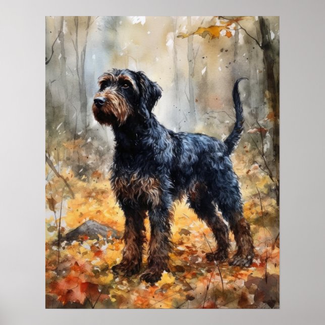 Poster Barbet Hund Art-utskrift (Framsidan)