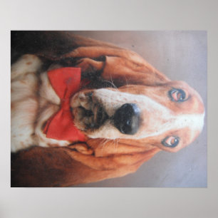 Poster Basset Hound med Red Bow Tie