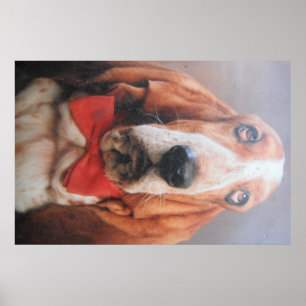 Poster Basset Hound med Red Bow Tie
