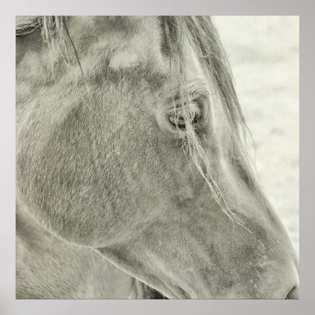 POSTER BAY BEAUTY 24x24 (Framsidan)