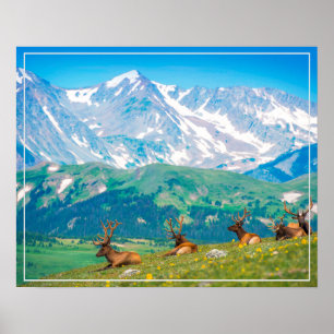 Poster berg & Elk